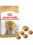 Adult Yorkshire Terrier Yetişkin Köpek Maması 1,5 kg 1