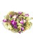 Therapy Tea Bitki Çayı 250 gr 2