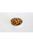 Çizik Yeşil Zeytin-300 gr 2