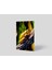 Blok Tablo | Frog 48×69 2