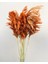 Pampas Kiremit 1