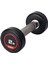 2,5 kg Olimpik Dambıl (Kauçuk Kaplı) - 1 Adet 1