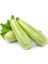 Yerli Beyaz Kabak Tohumu (Kolsuz) 10 gr (Ort 75 Ad Tohum) 1