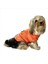 Orange Black Bunny Kapşonlu Sweat By Kemique Köpek Kazağı 5