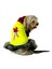 Bunny Bordo Fosfor Kapşonlu Sweat By Kemique Köpek Kazağı XL 4