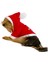 Santa Neo Kapşonlu Polar Noel Yılbaşı Köpek Kıyafeti L 2