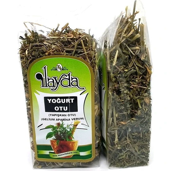 Ilayda Yoğurt Otu Yapışkan Ot (Galium Aparine Verum)