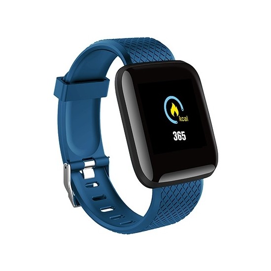 Everest Everwatch EW508 Akıllı Saat Mavi Fiyatı