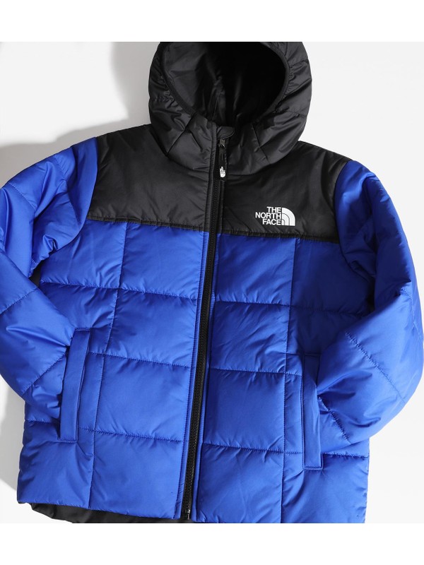 the north face b