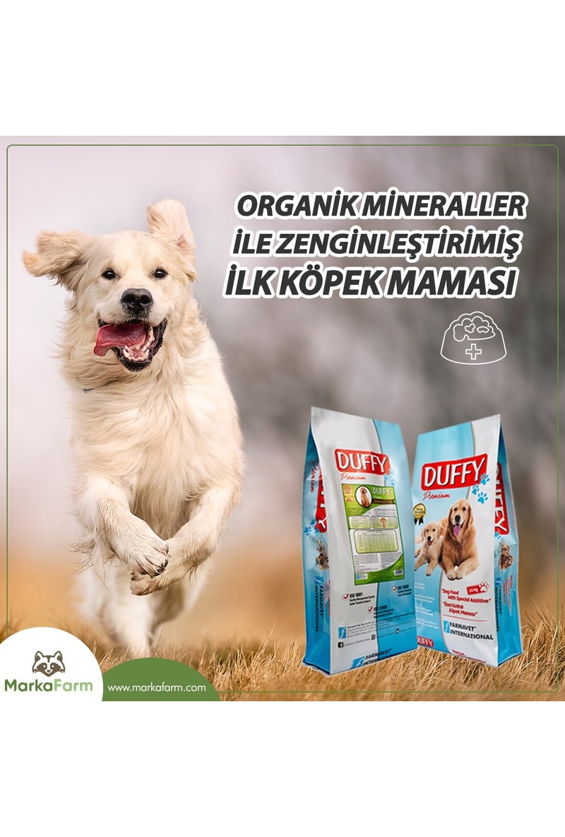 danua yavru köpek fiyat