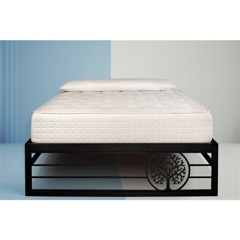 Bucca Ev Dekorasyon ve Fiyatları