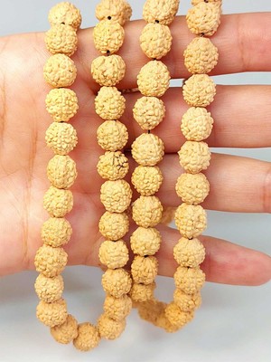 Yaşam Tohumu Açık Renk Süt Rudraksha Tohum Dizi 8-9mm Aralığı (Mala Yapımı Için) 108 Lik