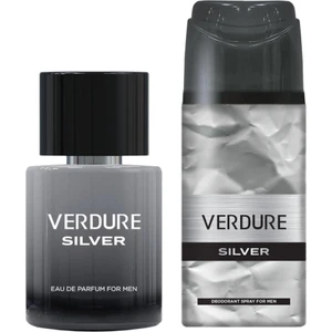 Silver Erkek Parfüm 100 ml + Deodorant 150 ml 2'li Set