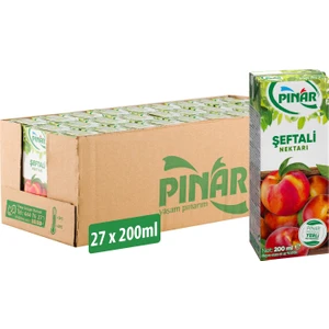 Meyve Nektarı Şeftali 200 ml x 27 Adet