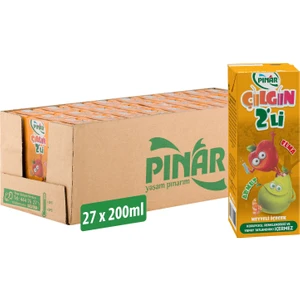 Çılgın Ikili Elma Armut 200 ml x 27 Adet