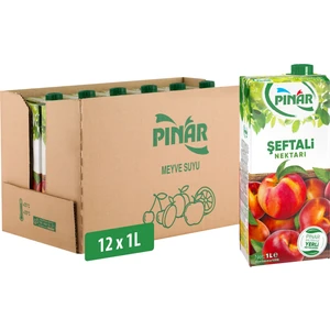 Meyve Nektarı Şeftali 1 Lt x 12 Adet