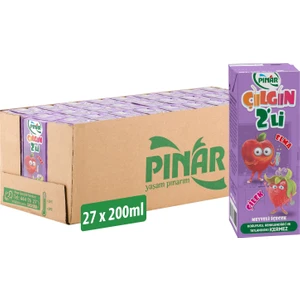 Çılgın Ikili Elma Çilek 200 ml x 27 Adet
