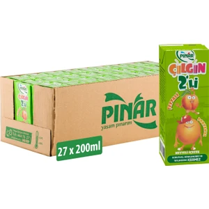 Çılgın Ikili Şeftali Portakal 200 ml x 27 Adet