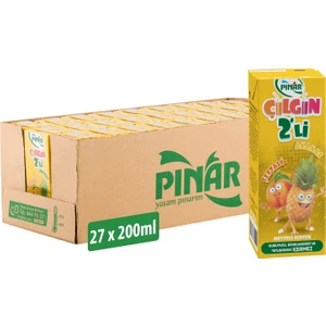 Çılgın Ikili Şeftali Ananas 200 ml x 27 Adet