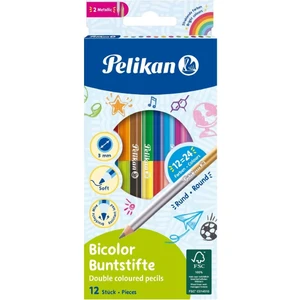 Çift Uçlu Kuru Boya Kalemi (12 Kalem=24 Renk)