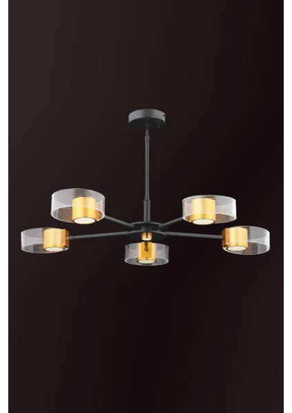 37W Gold 5 Kollu LED Avize
