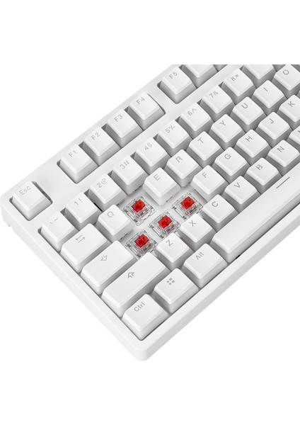 KB-R136 Ghost Beyaz Type-C Bağlantılı Rgb Puding Tuşlu Haylou Red Switch 1000 Hz Us Gaming Oyuncu Klavye