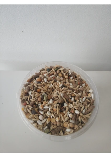 GoldMind 2Kg Mix Karışım Yem Kemirgen Yemi 2 kg (16ÇEŞİT)