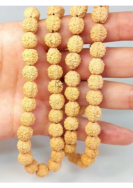 Açık Renk Süt Rudraksha Tohum Dizi 8-9mm Aralığı (Mala Yapımı Için) 108 Lik