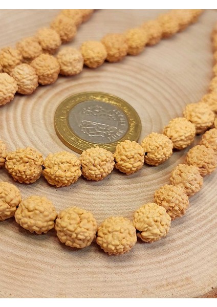 Açık Renk Süt Rudraksha Tohum Dizi 8-9mm Aralığı (Mala Yapımı Için) 108 Lik