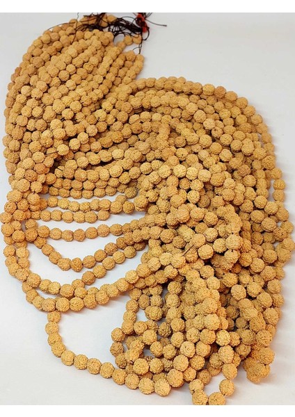 Açık Renk Süt Rudraksha Tohum Dizi 8-9mm Aralığı (Mala Yapımı Için) 108 Lik