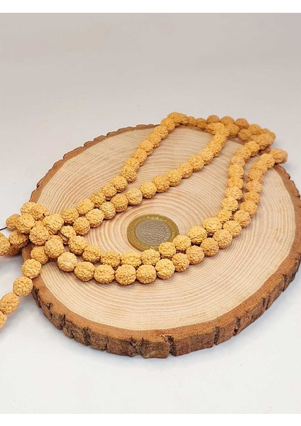 Açık Renk Süt Rudraksha Tohum Dizi 8-9mm Aralığı (Mala Yapımı Için) 108 Lik
