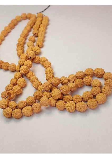 Açık Renk Süt Rudraksha Tohum Dizi 8-9mm Aralığı (Mala Yapımı Için) 108 Lik