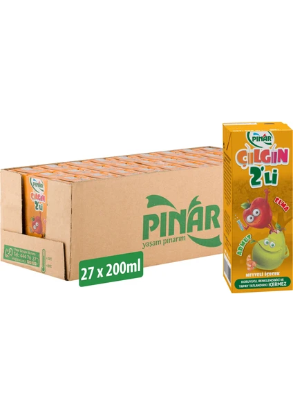 Çılgın Ikili Elma Armut 200 ml x 27 Adet