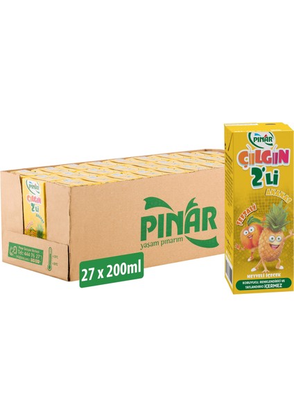 Çılgın Ikili Şeftali Ananas 200 ml x 27 Adet