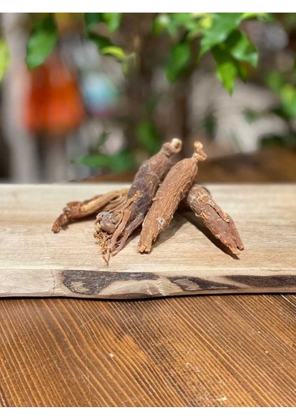 Ginseng (Kök) Panax Kore Ginsengi 100 gr