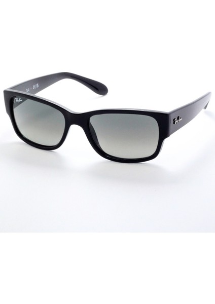 Rayban Güneş Gözlüğü RB4388 601/71 fiyatları