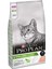 Cat Sterilised Somonlu 3 kg 1