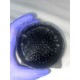 Nano Terial Manyetik Sıvı Ferrofluid, Bilim Projeleri Için Ideal, Oyuncak, Stres Giderici