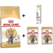Royal Canin British Shorthair Yetişkin Kedi Maması 2 Kg+2 Adet Rc Yaş Mama 85 gr + 20 gr Gimcat Malt