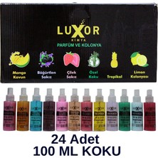 Luxor Kimya 24 Adet 100 ml Ev & Oto Koku Seti Özel Kutulu