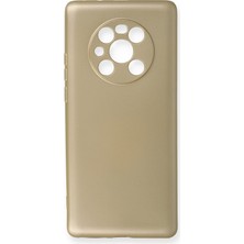 Newface Huawei Mate 40 Pro Kılıf Premium Rubber Silikon - Gold