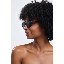 İlios Eyewear Ilios Güneş Gözlüğü Acoustic Claret