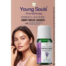 Young Souls Aromatherapy Hybrid Lavender Essential Oil Hibrit Melez Lavanta Uçucu Yağ 10 ml
