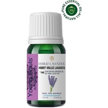 Young Souls Aromatherapy Hybrid Lavender Essential Oil Hibrit Melez Lavanta Uçucu Yağ 10 ml