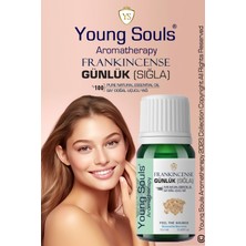 Young Souls Aromatherapy Frankincense Essential Oil Günlük Sığla Uçucu Yağ 10 ml