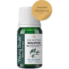 Young Souls Aromatherapy Eucalyptus Globulus Essential Oil Okaliptüs Globulus Uçucu Yağ 10 ml