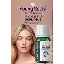 Young Souls Aromatherapy Eucalyptus Globulus Essential Oil Okaliptüs Globulus Uçucu Yağ 10 ml