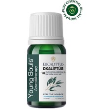 Young Souls Aromatherapy Eucalyptus Globulus Essential Oil Okaliptüs Globulus Uçucu Yağ 10 ml