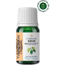 Young Souls Aromatherapy Camphor Essential Oil Kafur Uçucu Yağ 10 ml
