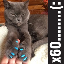 Hanyang Açık Pembe Xs 60 Adet - Kediler Için Yumuşak Tırnak Başlıkları + 3x Yapışkan Tutkal + 3x Aplikatör /* Xs, S, M, L, Cover, Cat, Zpo */ (Yurt Dışından)